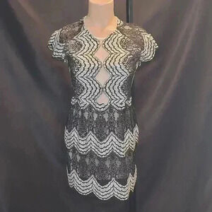 lr Lace See Through Scalloped Edge Dress